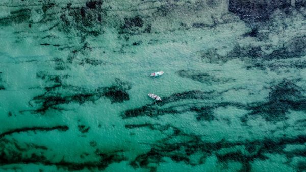 Two people paddleboarding at Point of Rocks