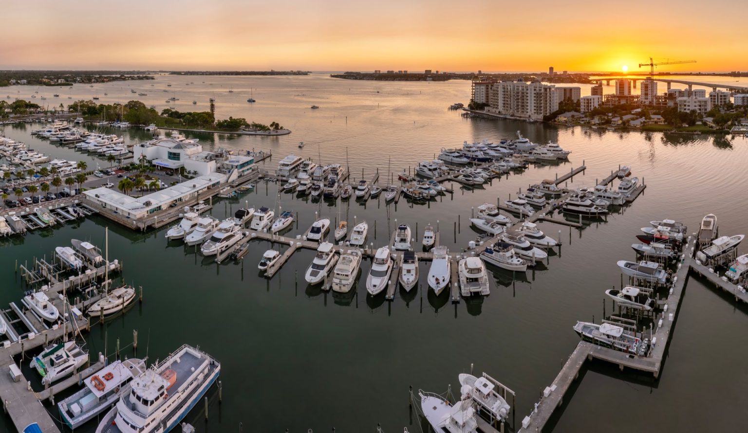 Siesta Key Actor The Ultimate High-End Itinerary in Siesta Key